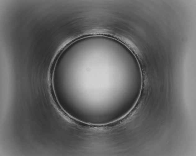 X0000112720990200908271403