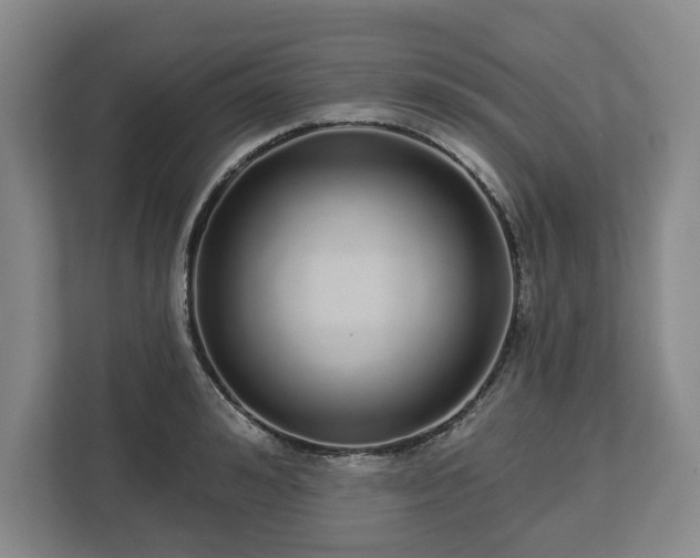 X0000112720992200908271403