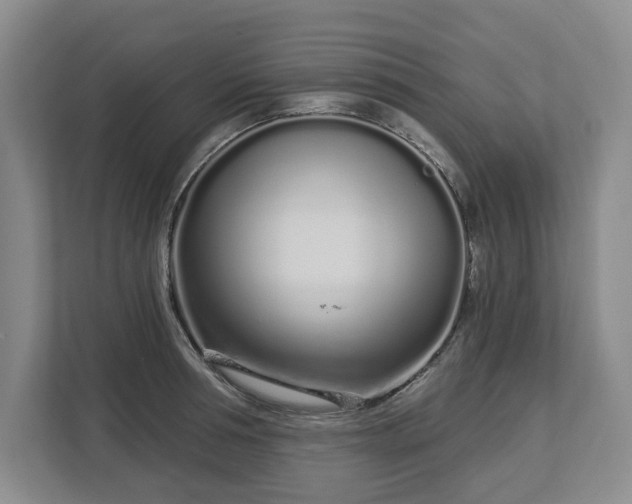 X0000112720994200908271403