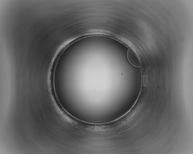 X0000112720995200908271403