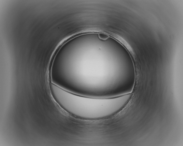 X0000112720996200908271403