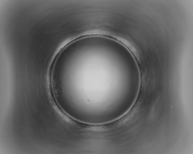 X0000112720998200908271403