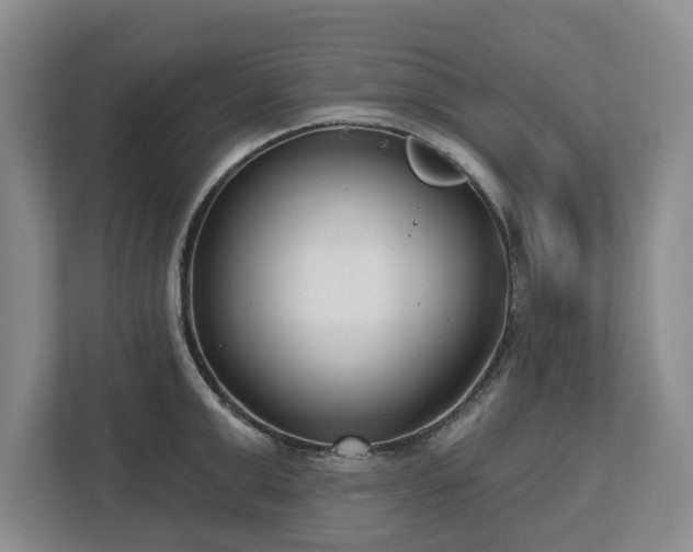 X0000112720999200908271403