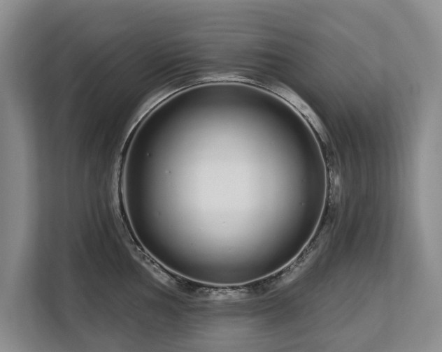 X0000112721002200908271403