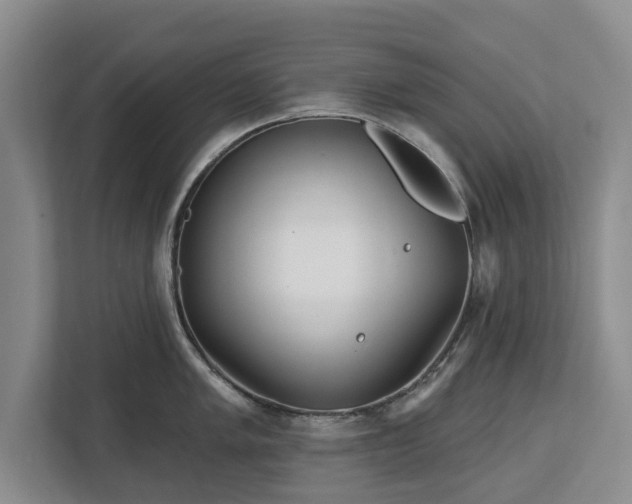 X0000112721005200908271403