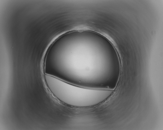 X0000112721008200908271403