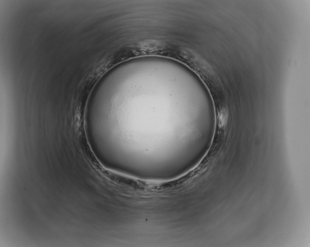 X0000112721011200908271402