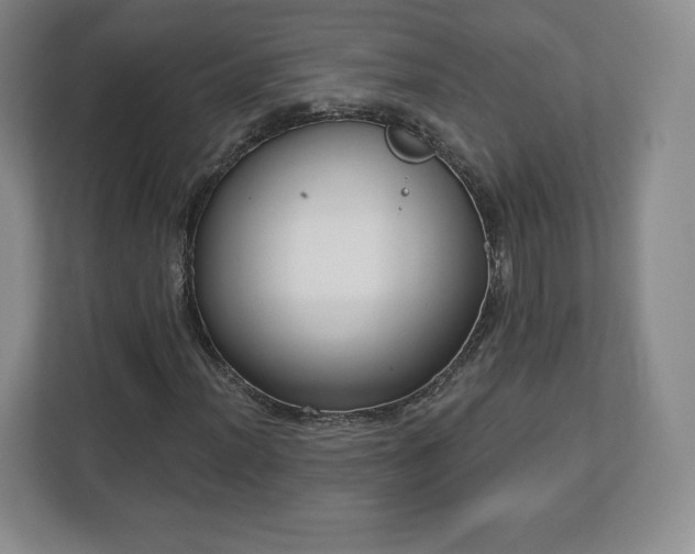 X0000112721012200908271402