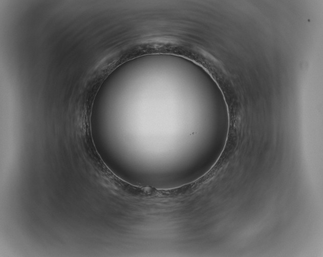 X0000112721014200908271402