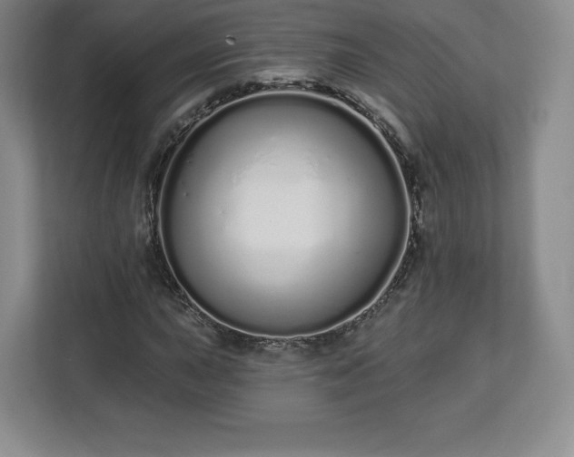 X0000112721015200908271402