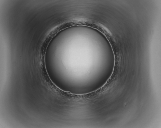 X0000112721016200908271402