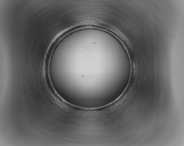 X0000112721020200908271402