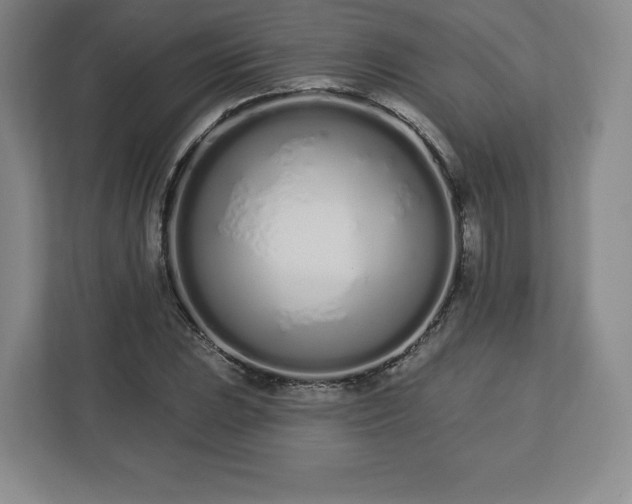 X0000112721023200908271402