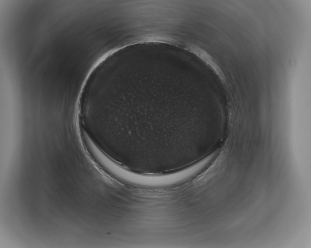 X0000112721024200908271402