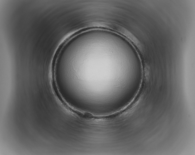 X0000112721028200908271402