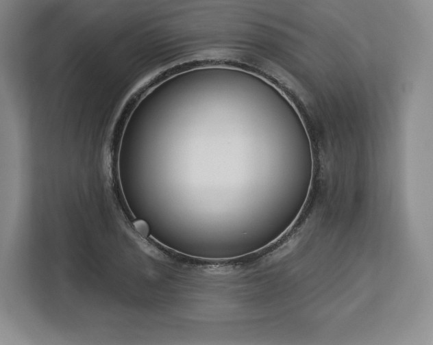 X0000112721029200908271402