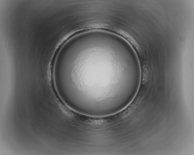 X0000112721031200908271403