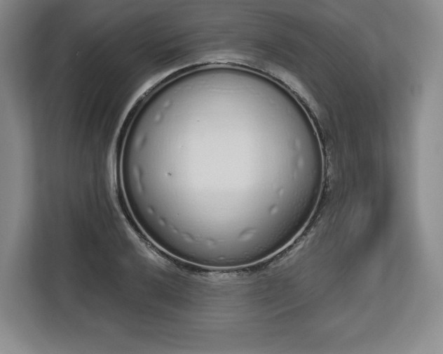 X0000112721032200908271403