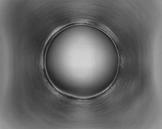 X0000112721036200908271403