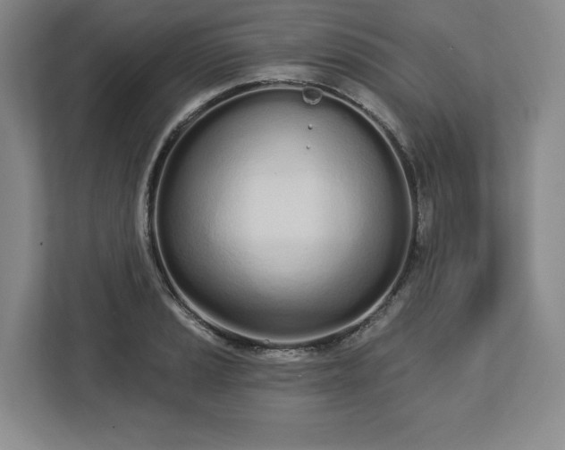 X0000112721037200908271403