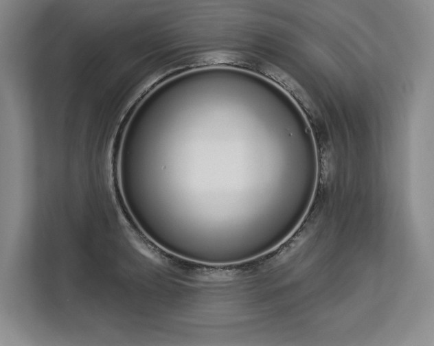 X0000112721039200908271403