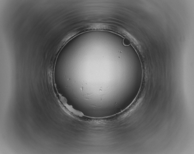 X0000112721041200908271403