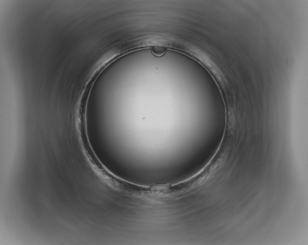 X0000112721042200908271403