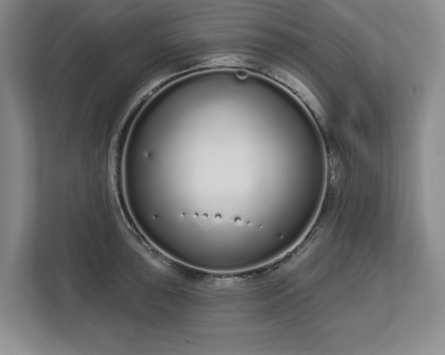 X0000112721043200908271403