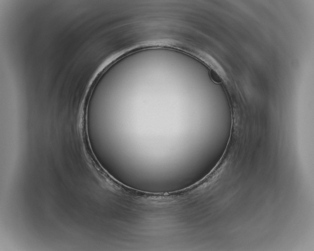 X0000112721044200908271403