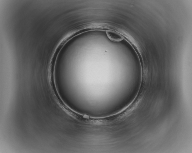 X0000112721045200908271403