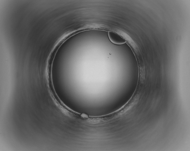 X0000112721046200908271403