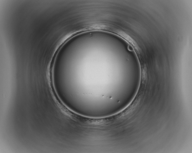 X0000112721047200908271403