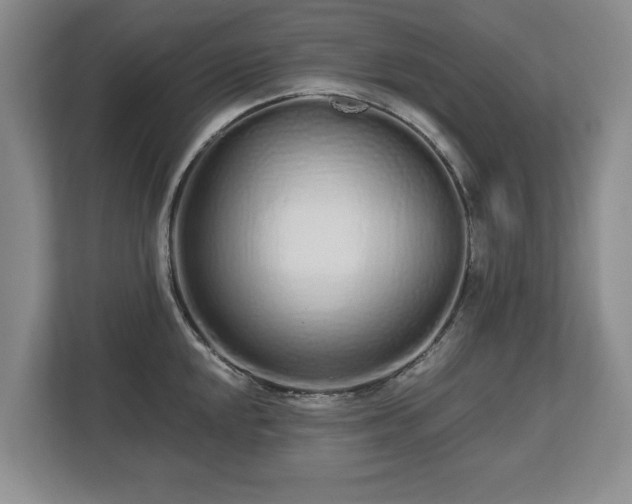 X0000112721048200908271403