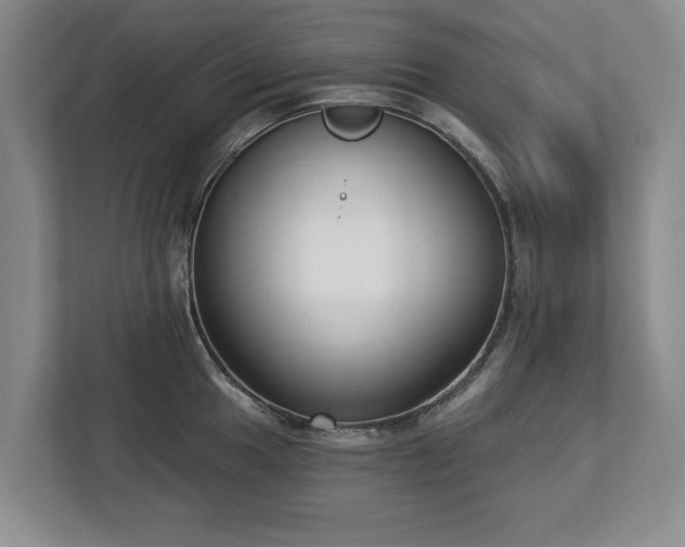 X0000112721049200908271403