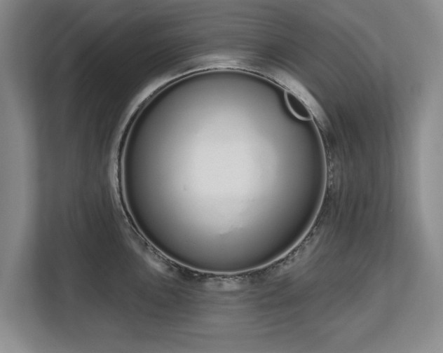 X0000112721051200908271403