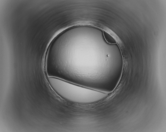 X0000112721052200908271403