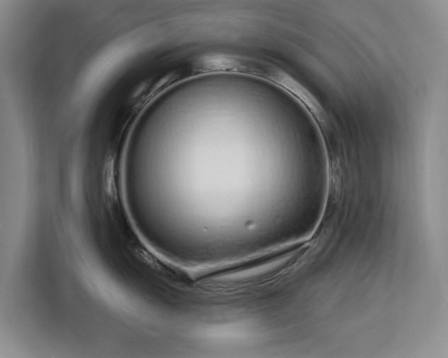 X0000112721055200908271403