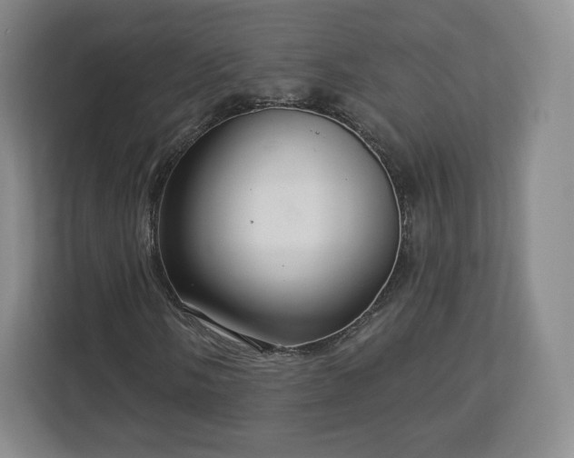 X0000112721058200908271402