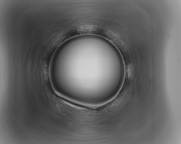 X0000112721059200908271402