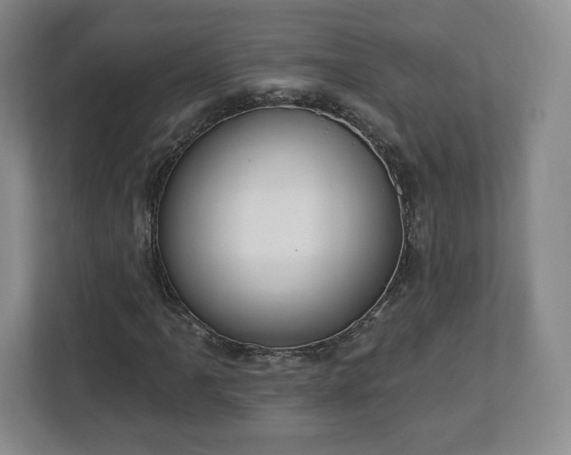 X0000112721061200908271402