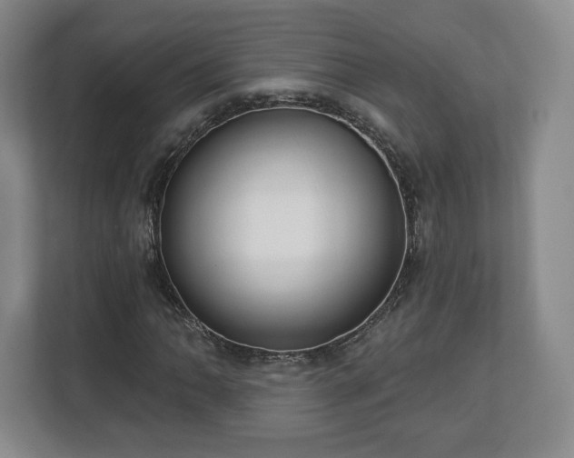 X0000112721062200908271402