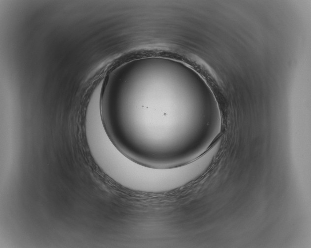 X0000112721064200908271402