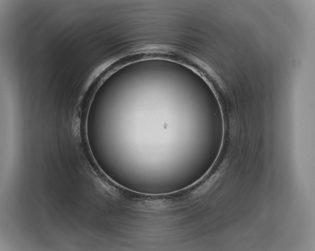 X0000112721066200908271402