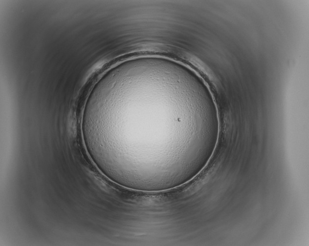 X0000112721067200908271402