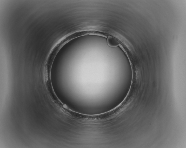 X0000112721069200908271402