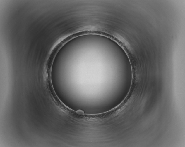 X0000112721070200908271402