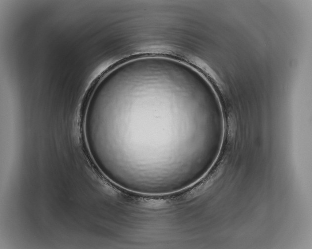 X0000112721071200908271402