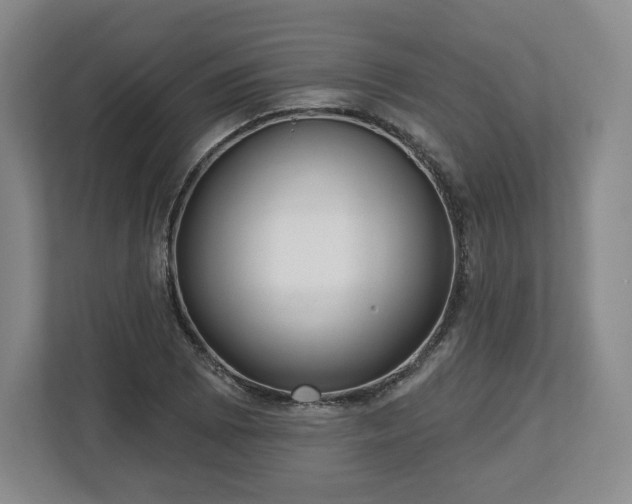 X0000112721073200908271402