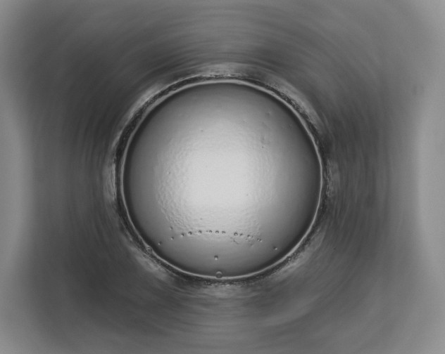 X0000112721075200908271402