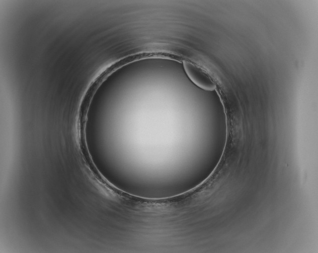 X0000112721076200908271402